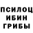 Галлюциногенные грибы мицелий Roggey