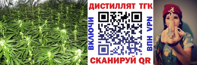 KRAKEN онион  Шарья  Дистиллят ТГК концентрат 