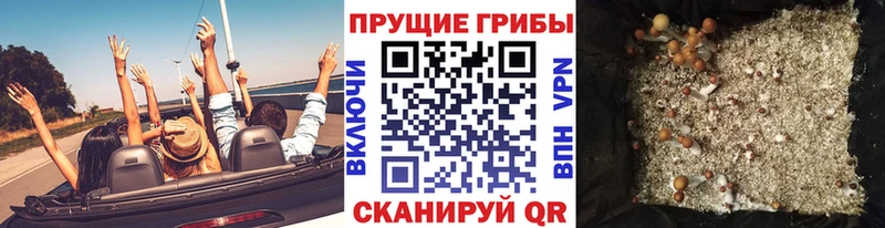 blacksprut сайт  Шарья  Галлюциногенные грибы Magic Shrooms 